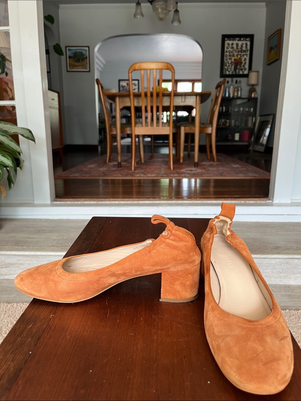 Everlane Suede Block Heel Pumps in Cognac